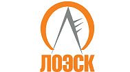 Ленинградская областная управляющая электросетевая компания